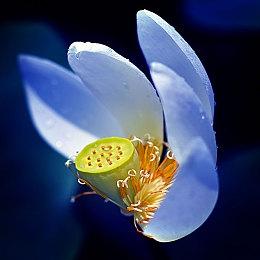 肉鸽《孤独的灵魂》Steam页面上线 年内发售